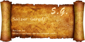 Salzer Gergő névjegykártya